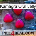 Kamagra Oral Jelly 13